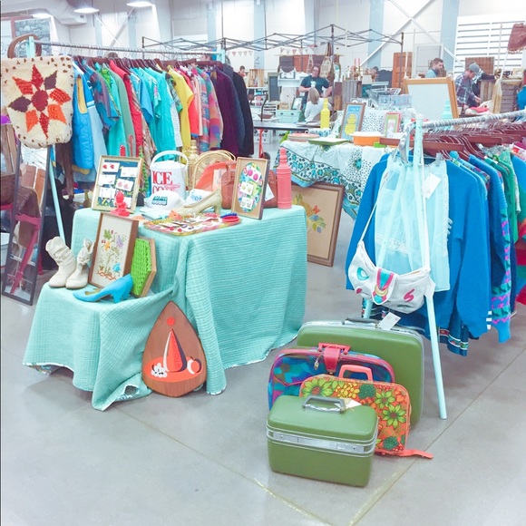 Meet your Posher, Mandy - Picture 2 of 2